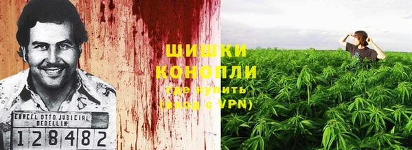 прущие грибы Армянск