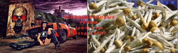 прущий лед Алзамай