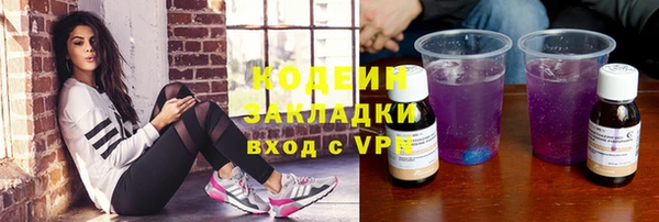 прущий лед Алзамай
