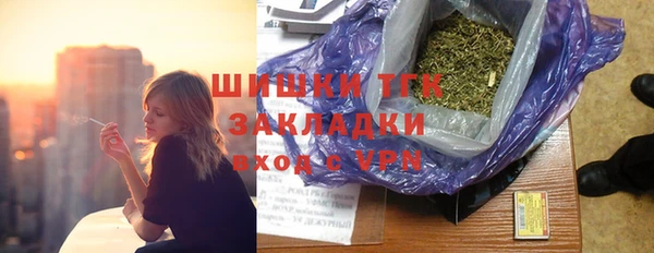 прущий лед Алзамай