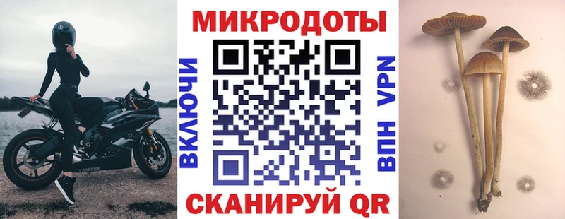 Галлюциногенные грибы Psilocybine cubensis  сайты даркнета клад  Магадан  где купить наркотик 