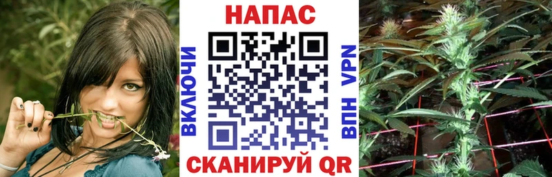 Канабис VHQ наркотики hydra маркетплейс Магадан